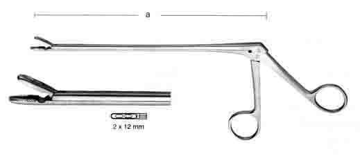 CASPAR DİSK RONJUR 2MM 18.5CM DÜZ